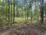 32 acres Pinckney Street - Photo 7