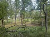 32 acres Pinckney Street - Photo 9