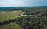 60.51 Acres 4th - Photo 13