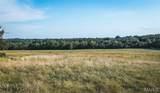 60.51 Acres 4th - Photo 5