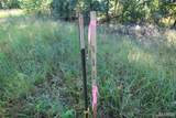 000 Coldwater Creek Road - Photo 16