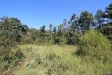 000 Coldwater Creek Road - Photo 31