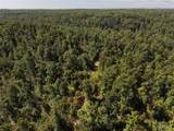 000 Coldwater Creek Road - Photo 48
