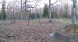 0000 Red Wing Road - Photo 11