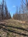 0000 Red Wing Road - Photo 17