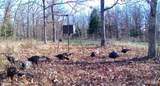 0000 Red Wing Road - Photo 4