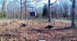 0000 Red Wing Road - Photo 5
