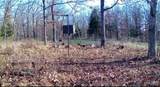 0000 Red Wing Road - Photo 9
