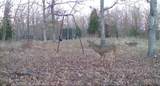 0000 Red Wing Road - Photo 10