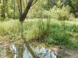 0 Joachim Creek - Photo 3