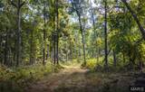 5 Buck Mountain Road - Photo 4