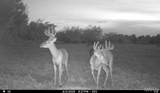 00 Abbott Road - Photo 69