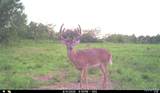 00 Abbott Road - Photo 76