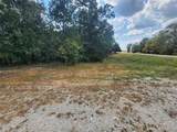0 M- Old Highway 60 - Photo 10