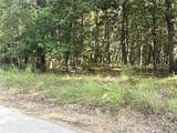 19017 Old Wild Turkey Lane - Photo 4