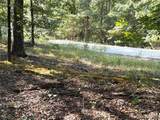 19017 Old Wild Turkey Lane - Photo 5