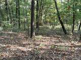 19017 Old Wild Turkey Lane - Photo 6