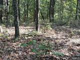 19017 Old Wild Turkey Lane - Photo 8