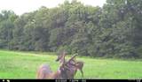 00 Abbott Road - Photo 47
