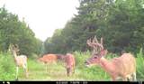 00 Abbott Road - Photo 55