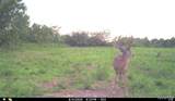 00 Abbott Road - Photo 56
