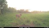 00 Abbott Road - Photo 61
