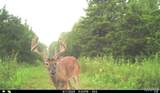 00 Abbott Road - Photo 63