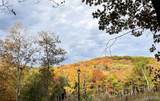 3539 Red Oak Drive - Photo 4