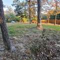 1409 Buck Hollow Drive - Photo 3
