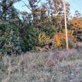 587 Lakeview Drive - Photo 5