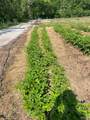 2461 Highway F - Photo 3