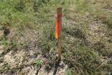 000 Coldwater Creek Lot 7 - Photo 17