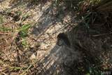 000 Coldwater Creek Lot 11 - Photo 20