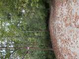 4625 Vixen Circle - Photo 3
