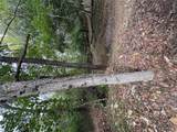 4625 Vixen Circle - Photo 8
