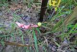 000 Coldwater Creek Lot 22 - Photo 15
