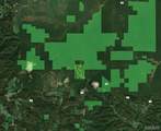 000 Coldwater Creek Lot 23 - Photo 59
