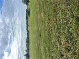 19.87 Acres On Highway C - Photo 14
