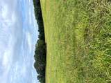 19.87 Acres On Highway C - Photo 7