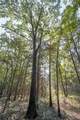 19441 Hwy 160 W - Photo 60