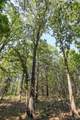 19441 Hwy 160 W - Photo 62