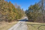 0 Wooded Acres Pt Lot 19 - Photo 11