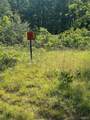 21 Hwy 21 N - Photo 3