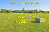 2069 Camrose Green Street - Photo 2