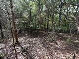 9909 Sassafras Drive - Photo 2