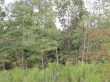 0 County Road 553A - Photo 5