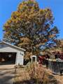 19503 Moonbean - Photo 25