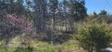 302 Woodsorell Drive - Photo 5