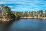 1500 County Road 215 - Photo 11