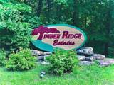 1633 Timber Bluff Trail - Photo 1